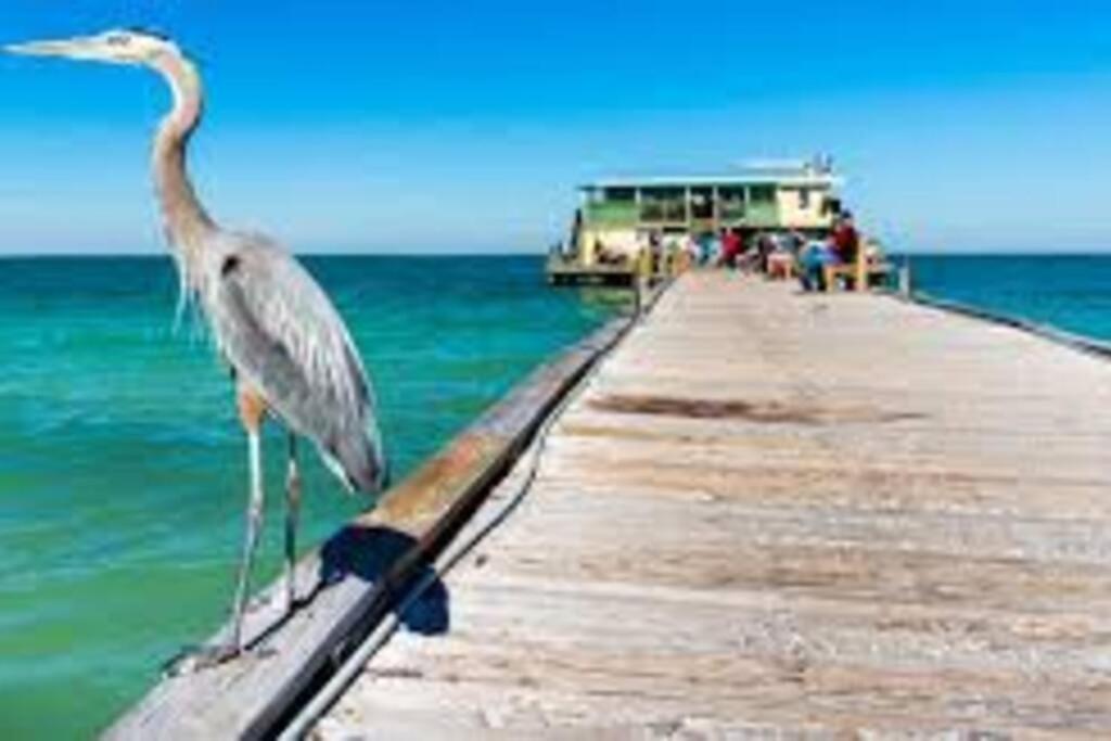 Waterview Oasis Retreat, Minutes To Anna Maria Island And Img Apartment Bradenton Exterior photo